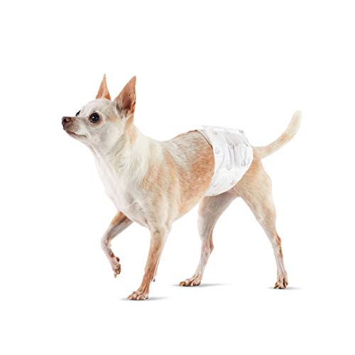 Amazon Basics Hundewindeln für Rüden - X-Klein, 30er-Pack von Amazon Basics
