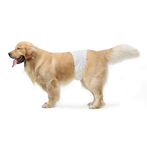 Amazon Basics Hundewindel für Rüden, Einwegwindeln, Größe L, Weiß, 30 Stück von Amazon Basics