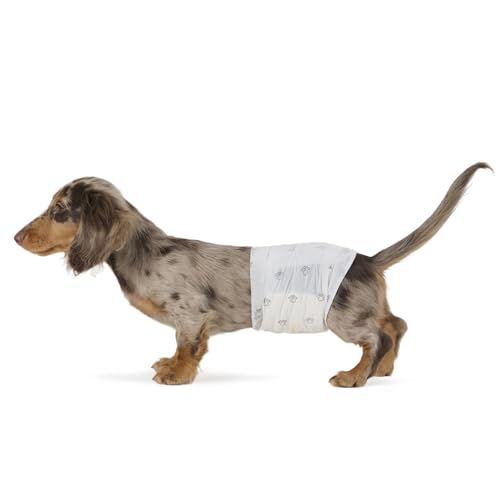Amazon Basics Hundewindel für Rüden, Einwegwindeln, Größe S, Weiß, 30 Stück von Amazon Basics