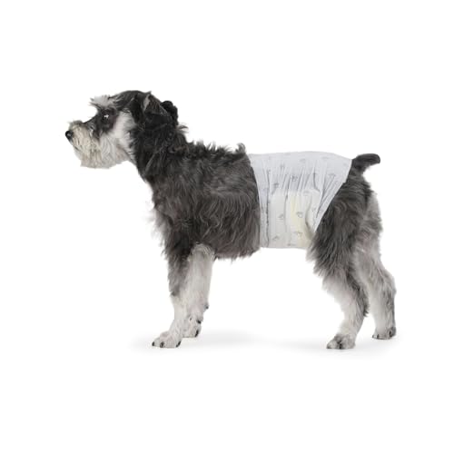 Amazon Basics Hundewindel für Rüden, Einwegwindeln, Größe M, Weiß, 30 Stück Amazon Basics Hundewindel für Rüden, Einwegwindeln, Größe M, Weiß, 30 Stück von Amazon Basics