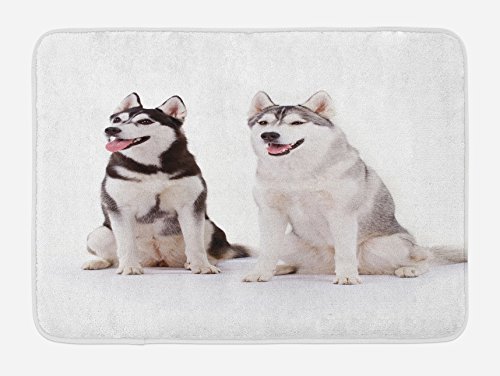 Ambesonne Alaskan Malamute Badematte, pelzige arktische Hunde, Husky, Whelp Pedigree Pet Happy Sibirian Säugetier, Plüsch-Badezimmerdekormatte mit Rutschfester Unterseite, 74,9 x 44,5 cm, Grau-Weiß von Ambesonne