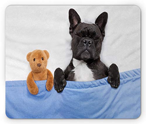 Ambesonne Mauspad mit Tiermotiv, französische Bulldogge, schlafend mit Teddybär im gemütlichen Bett, Motiv: Best Friends Fun Dreams, rechteckig, rutschfest, Gummi, Standardgröße, Weiß / Blau Ambesonne Mauspad mit Tiermotiv, französische Bulldogge, schlafend mit Teddybär im gemütlichen Bett, Motiv: Best Friends Fun Dreams, rechteckig, rutschfest, Gummi, Standardgröße, Weiß / Blau von Ambesonne