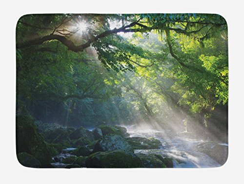 Ambesonne Regenwald-Badematte, Bachlauf im Dschungel, Steine unter Schatten von Bäumen, Sonnenstrahlen, Mutter-Erde, Plüsch-Badezimmerdekormatte mit rutschfester Unterseite, 76,7 x 50,8 cm, Grün-Weiß von Ambesonne