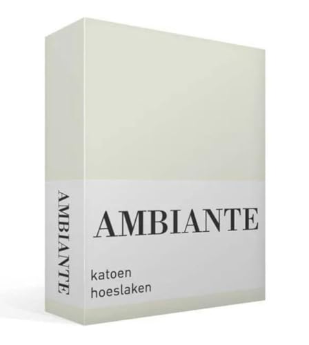 Ambiante Renforcé-Spannbettlaken für 35cm hohe Matratzen Cotton Uni Farbe Off-White Größe 160x200 Ambiante Renforcé-Spannbettlaken für 35cm hohe Matratzen Cotton Uni Farbe Off-White Größe 160x200 von Ambiante