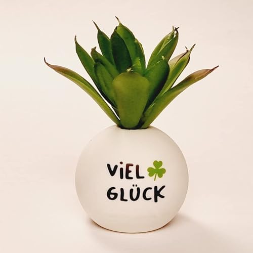 ambico HappyPlants Kunstpflanze – viele Verschiedene Motive – Das Geschenk für besondere Anlässe wie Geburtstag, Valentinstag Weihnachten, UVM von ambico