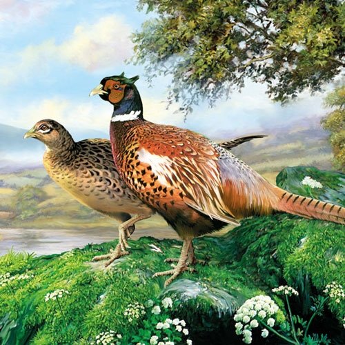 Ambiente Servietten Lunch/Party/Fest ca. 33x33cm Pheasant - Fasan - Ideal als Geschenk von Ambiente