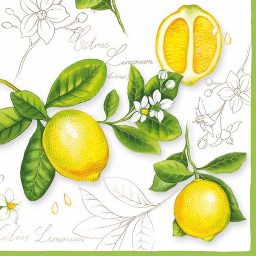 Ambiente Servietten Lunch / Party / ca. 33x33cm Citrus Limonum - ideal als Geschenk von Ambiente