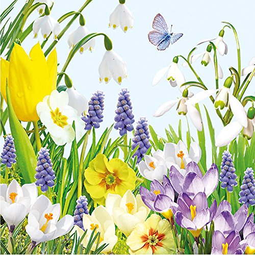 Ambiente - Servietten - Spring Time - Frühling / Blumen / Schmetterling von Ambiente