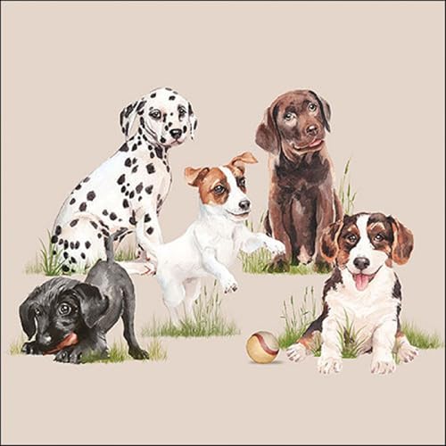 20 Servietten Tiere Hunderassen im Gras als Tischdeko. Papierservietten mit Motiv. Auch für Decoupage und Serviettentechnik 33x33cm von Ambiente
