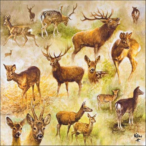 20 Servietten Tiermotive Collage an Hirsche und Rehe als Tischdeko. Papierservietten mit Motiv. Auch für Decoupage und Serviettentechnik 33x33cm von Ambiente