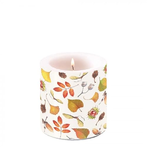 Ambiente Kerze Stumpenkerze Lampionkerze 9 cm hoch autumn details Laub Herbst Ambiente Kerze Stumpenkerze Lampionkerze 9 cm hoch autumn details Laub Herbst von Ambiente