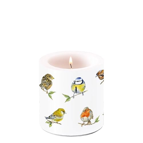 Ambiente Kerze Stumpenkerze Wachswindlicht 9 cm hoch Brenndauer ca 35h Vogelarten Vögel Dekorationskerze Serie bird species von Ambiente