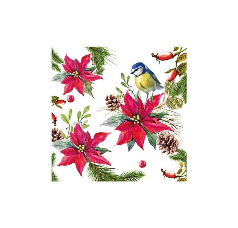 Ambiente Papierserviette Meise auf Weihnachtsstern, (20 St), 33 cm x 33 cm von Ambiente