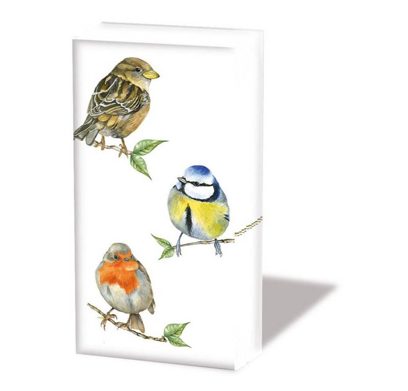 Ambiente® Papierserviette Papiertaschentücher Birds, (10 St), 21 cm x 21 cm von Ambiente®