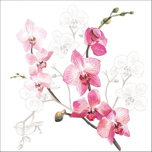 Ambiente - Papierservietten - Orchid/Orchidee 33 x 33cm von Ambiente