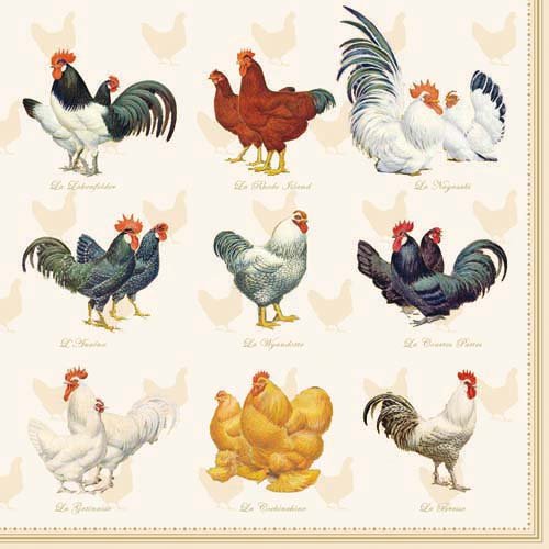 Ambiente Papierservietten - Servietten Lunch / Party / ca. 33x33cm Wyandotte Cream - Rooster - Hahn Tish-Deko von Ambiente