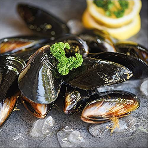 Ambiente Serviette Lunch 33x33cm Motiv: Mussels Muscheln Miesmuscheln 20 Stück pro Packung von Ambiente