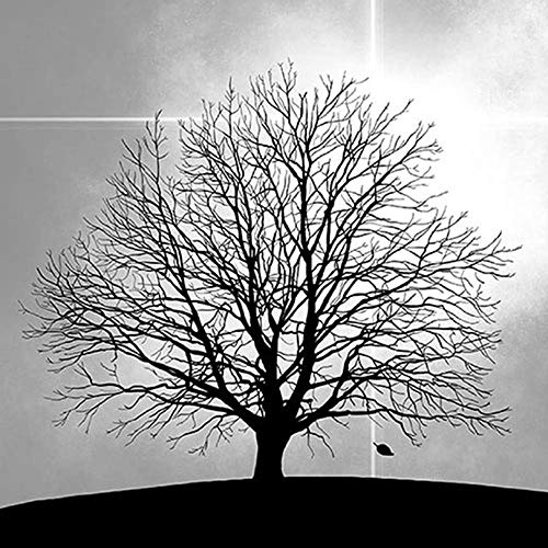 Ambiente Serviette Lunch - Mourning Tree - Trauerbaum - Trauerserviette 33x33cm 20Stk/Packung von Ambiente