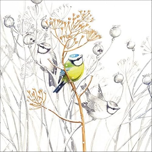 Ambiente - Weihnachten Papierservietten - Sweet little Bird / Vogel, Schnee, Winter - 33 x 33cm von Ambiente