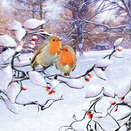 Papier Servietten Christmas Robins On Branch Lunch Party Fest Ca. 33x33cm fuer Herbst, Winter, Weihnachten von Ambiente