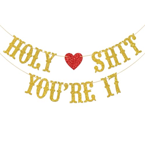 Holy Shit You're 17 Banner Lustiges Happy 17th Birthday Wimpelkette Schild 17 Jahre alt Geburtstag/Jahrestag Party Dekorationen Zubehör für Jungen Mädchen von Ambishi