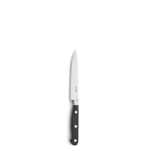 Amefa PREMIUM Allzweckmesser | 24,4 cm | 3Cr14 Klingenstahl | rostfrei und extra scharf | Küchenmesser mit klassischem Nietengriff | Schneidemesser mit reinigungsleichtem Kunststoffgriff von Amefa