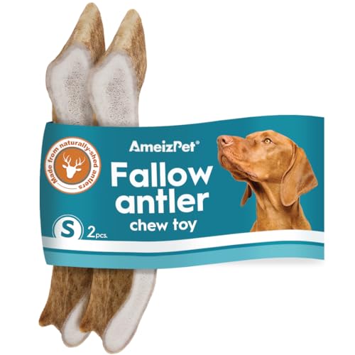 AmeizPet Geweih Für Hunde Natürlich, Dauerhaft Hunde Kauknochen, REH Kauknochen Für Den Hund Hirschgeweih Lang Anhaltende Damgeweih- 2 Stücke S Größe AmeizPet Geweih Für Hunde Natürlich, Dauerhaft Hunde Kauknochen, REH Kauknochen Für Den Hund Hirschgeweih Lang Anhaltende Damgeweih- 2 Stücke S Größe von AmeizPet