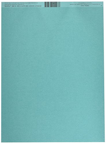 Bazzill Karton, 21,6 x 27,9 cm, Kachina-/Gras-Tuch, 25 Stück pro Packung von American Crafts