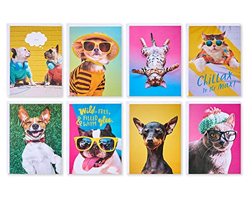 American Greetings Lustige leere Karten mit Umschlägen für alle Anlässe, Hunde und Katzen (48 Stück) von American Greetings