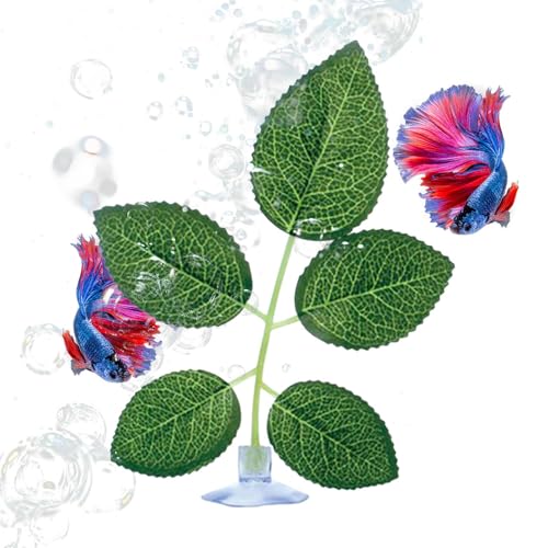Amesor Betta Bett | Betta Haftnapf Blatt Aquarium Deko - Kunstpflanze Ruheplatz Schlafplatz Versteck Laichplatz Guppy Amesor Betta Bett | Betta Haftnapf Blatt Aquarium Deko - Kunstpflanze Ruheplatz Schlafplatz Versteck Laichplatz Guppy von Amesor