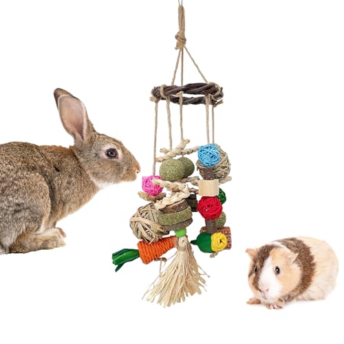 Amesor Chinchilla Spielzeug - Bunny Zahnpflege Nagespielzeug,Essbares Nagel-Leckerli Natürlich Gegen Langeweile Für Kleintiere Und Haustiere Chinchillas Frettchen Amesor Chinchilla Spielzeug - Bunny Zahnpflege Nagespielzeug,Essbares Nagel-Leckerli Natürlich Gegen Langeweile Für Kleintiere Und Haustiere Chinchillas Frettchen von Amesor