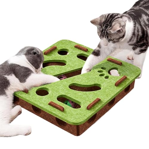 Amesor Katzen Puzzle Spielzeug,Bereicherungsspielzeug Für Katzen | Kratzspiel Mit Klingel Und Labyrinth Bahn Zur Beschäftigung Und Für Beissen Bewegung Für Kätzchen Welpen Im Wohnzimmer Oder Käfig Amesor Katzen Puzzle Spielzeug,Bereicherungsspielzeug Für Katzen | Kratzspiel Mit Klingel Und Labyrinth Bahn Zur Beschäftigung Und Für Beissen Bewegung Für Kätzchen Welpen Im Wohnzimmer Oder Käfig von Amesor