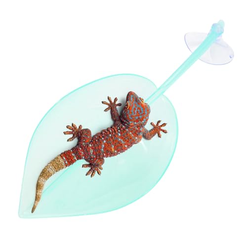 Amesor Sonnenplatz Plattform | Terrassen Habitat - Blattform Saugnäpfe Teich Zubehör für Amphibien Kröten Gecko Zwergfrösche Amesor Sonnenplatz Plattform | Terrassen Habitat - Blattform Saugnäpfe Teich Zubehör für Amphibien Kröten Gecko Zwergfrösche von Amesor