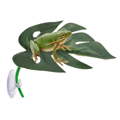 Amesor Terrarium Dekoration - Blattförmige Terrarienpflanzen,Sicherer Lebensraum Für Amphibien Für Hotels Restaurants Wohnzimmer Tischdekoration Nachttische Partys Hinterhof Garten Amesor Terrarium Dekoration - Blattförmige Terrarienpflanzen,Sicherer Lebensraum Für Amphibien Für Hotels Restaurants Wohnzimmer Tischdekoration Nachttische Partys Hinterhof Garten von Amesor