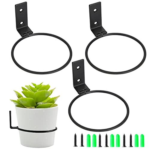 Amfrpar 3 Stück Wandhalterung Pflanzen 15cm Blumentopf Halterung Wand Blumenhalter Metall Pflanzring Blumentopfhalter Ring Pflanzer Rack Blumentopfring mit Schrauben für Hausgarten Balkon (Schwarz) von Amfrpar