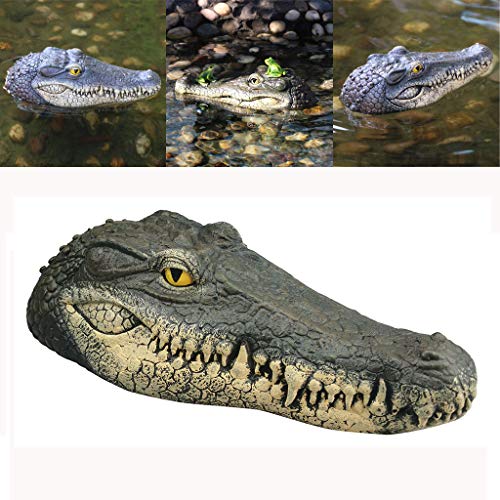 AMhomely® Alligator Head Decoy & Pond Float, Schwimmender Krokodilkopf Water Decoy Gartenteich Art Decor für Gänsehaut New Multicolor Neu für Jungen, Kleinkinder, Kinder, Männer, Erwachsene von Amhomely