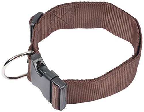 AMI CONFORT 6ANI343CH Halsband für Hunde, verstellbar, 50 – 70 x 4 cm AMI CONFORT 6ANI343CH Halsband für Hunde, verstellbar, 50 – 70 x 4 cm von AMI CONFORT