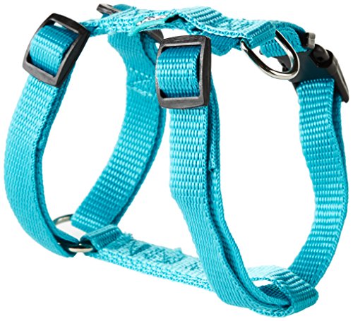 AMI CONFORT Freund Komfort 6 ani198bl Geschirr verstellbar für Hunde 35 – 50 x 1,5 cm AMI CONFORT Freund Komfort 6 ani198bl Geschirr verstellbar für Hunde 35 – 50 x 1,5 cm von AMI CONFORT