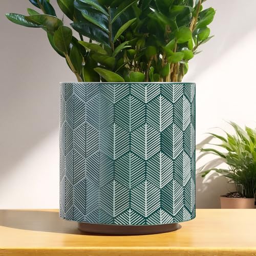 AmiCera Moderne Blumentopf Sechseckiges Muster, Boho Übertopf für Zimmerpflanzen, Dekorative Blumen Pflanztopf mit Drainage, Eklektische Sukkulenten Gartenarbeit Topf Funky Geschenke, Grün von AmiCera