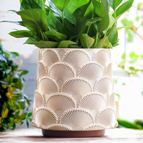 AmiCera Pearl Beige Skala Blumentopf 20cm, Bunt Pflanzentopf mit Drainage, Eklektische Niedlichen Kleinen Übertöpfe für Zimmerpflanzen, Regenbogen Lustige Sukkulenten Gartenarbeit Topf Geschenke AmiCera Pearl Beige Skala Blumentopf 20cm, Bunt Pflanzentopf mit Drainage, Eklektische Niedlichen Kleinen Übertöpfe für Zimmerpflanzen, Regenbogen Lustige Sukkulenten Gartenarbeit Topf Geschenke von AmiCera