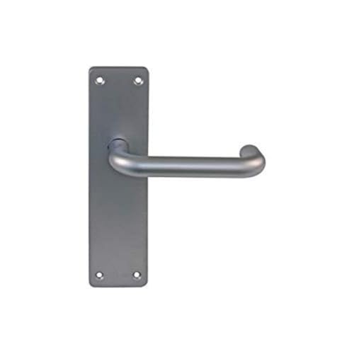 Amig - Türgriff mit Platte | Türgriff für innen oder außen | Material: eloxiertes Aluminium | Farbe: silber | Maße: 222x55x10mm von Amig