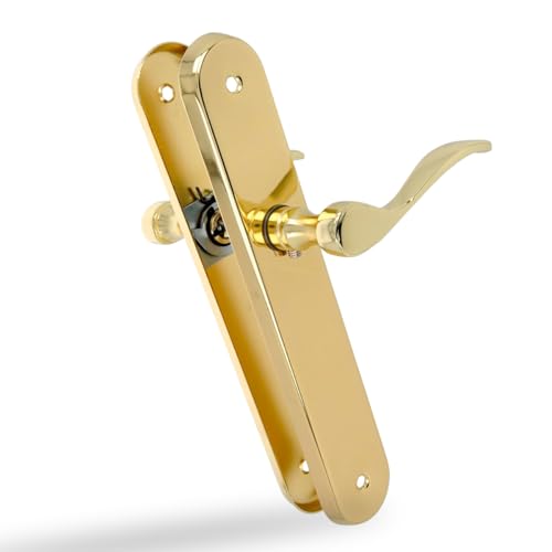 Amig - 2er Set Türgriffe | Funktionelle und ergonomische Kurbel | ovale Stahlplatte und Zamak-Griff | Messing lackiert | ohne Schlüsselloch | 237 x 40 x 55 mm von Amig