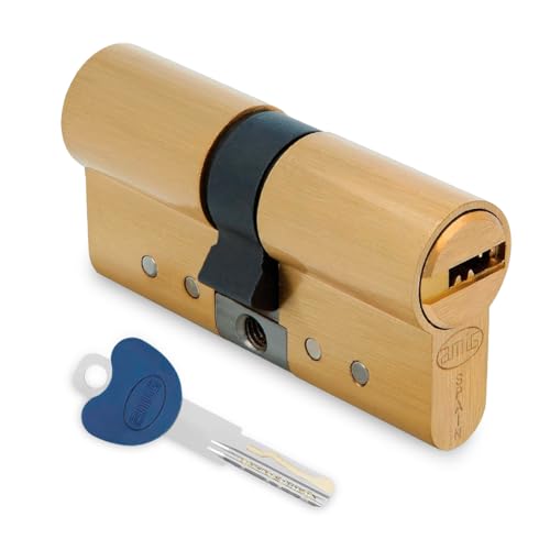 Amig - Schließzylinder | Sicherheitszylinderschloss | Aus Messing | Bohr und Stoßschutz | Oberfläche: Matt | Maße: 80 mm (30-50) von Amig