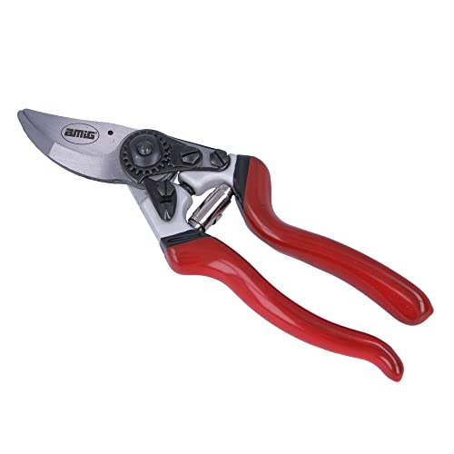 Amig - Einhand-Gartenschere | SK-5 Stahlklinge und Gegenklinge | 216 mm | Aluminiumgriff mit Hebeleffekt und rutschfestem Griff | Zum Schneiden von kleinen Ästen und Stielen | Sicherheitsverschluss Amig - Einhand-Gartenschere | SK-5 Stahlklinge und Gegenklinge | 216 mm | Aluminiumgriff mit Hebeleffekt und rutschfestem Griff | Zum Schneiden von kleinen Ästen und Stielen | Sicherheitsverschluss von Amig