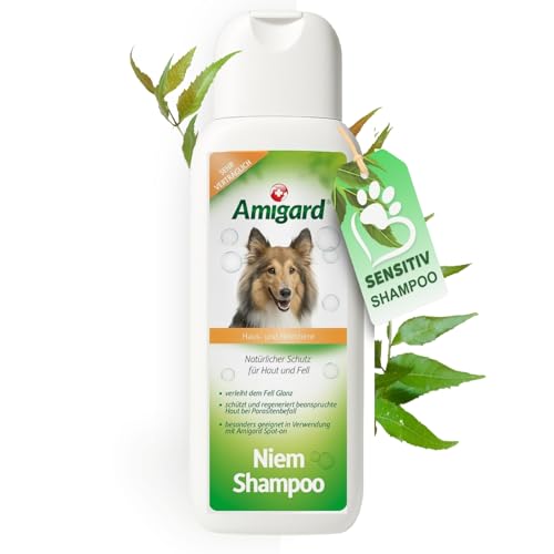 Amigard Niem-Shampoo für Hunde & Katzen, 250ml, Natürliches Shampoo ohne Chemie für eine natürliche Fellpflege, Hautfreundlich, Pflegend, bewährte Qualität Amigard Niem-Shampoo für Hunde & Katzen, 250ml, Natürliches Shampoo ohne Chemie für eine natürliche Fellpflege, Hautfreundlich, Pflegend, bewährte Qualität von Amigard