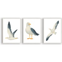 Din A4 Kunstdruck 3Er Set Ohne Rahmen - Möwe Seemöwe Seevogel Maritim Meer Küste Vogel Druck Poster Bild Din A4 Kunstdruck 3Er Set Ohne Rahmen - Möwe Seemöwe Seevogel Maritim Meer Küste Vogel Druck Poster Bild von AmizouKunst