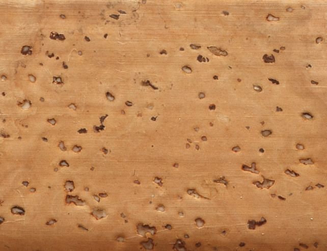 Amorim Korksockelleiste für Korkböden 240 cm 50 x 20 mm braun von Amorim