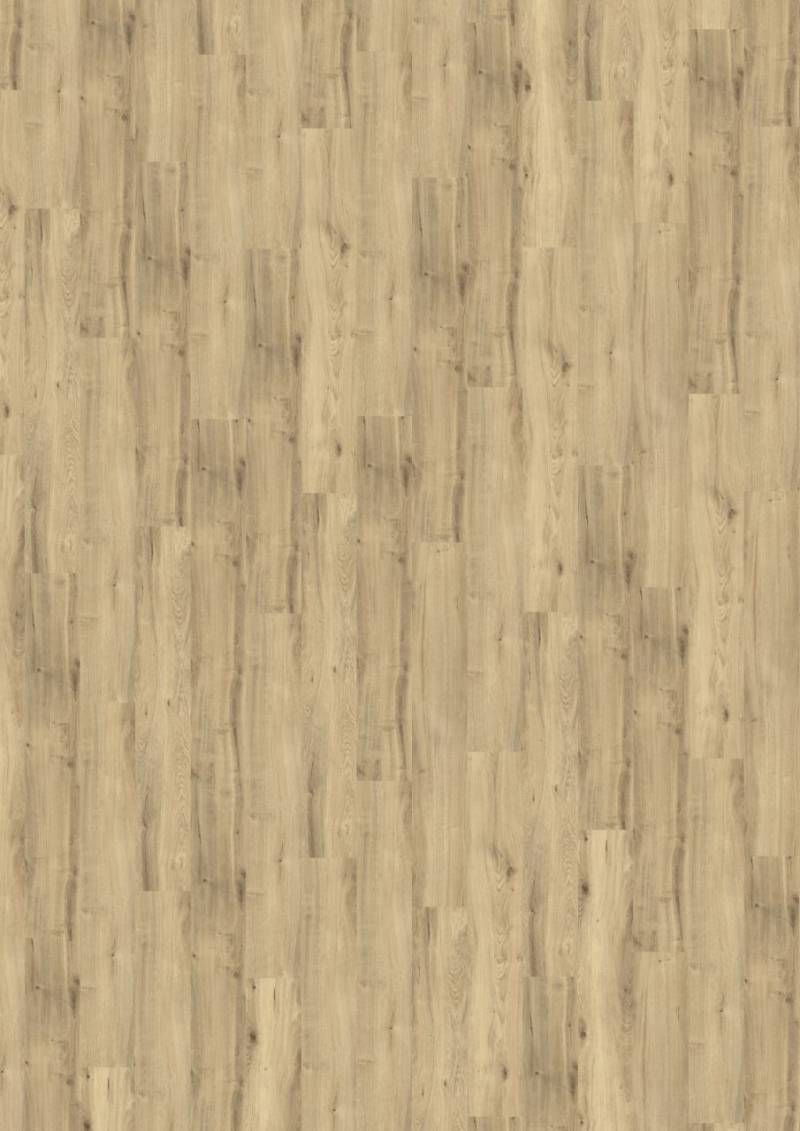 Decolife Designboden Nature Base Country Oak von Amorim
