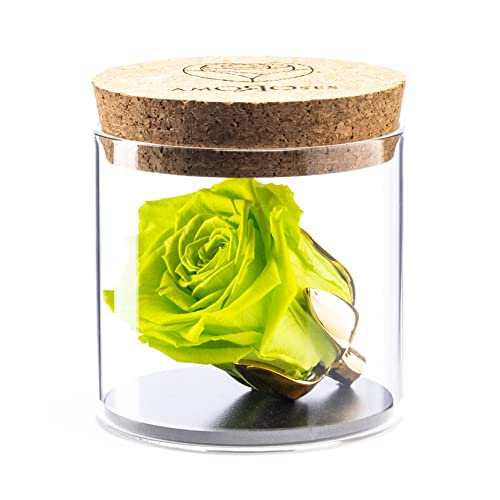 Amoroses Bijou - Ewige stabilisierte Rose mit 24 Karat vergoldetem Kelch im Glasgefäß | Geschenkidee (Rose Apfelgrün) von Amoroses