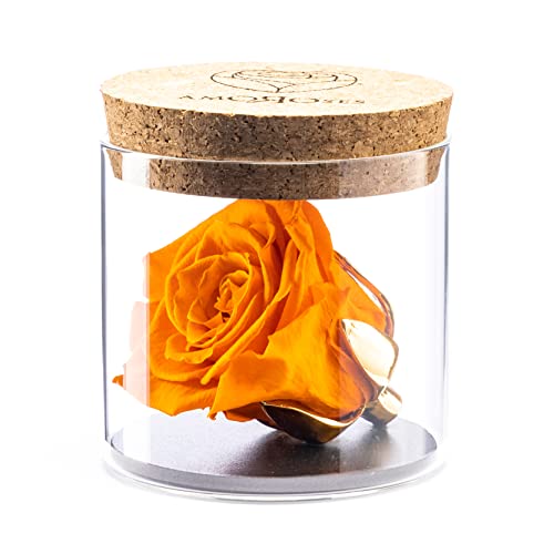 Amoroses Bijou - Ewige stabilisierte Rose mit 24 Karat vergoldetem Kelch im Glasgefäß | Geschenkidee (Rose Orange) von Amoroses